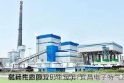 和远气体(002971.SZ)：宜昌电子特气及功能
材料产业园
三
氢硅和四
化硅生产装置已稳定运行
