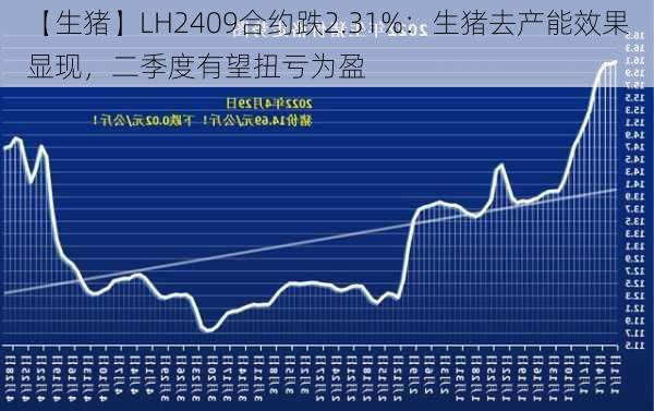 【生猪】LH2409合约跌2.31%：生猪去产能效果显现，二季度有望扭亏为盈