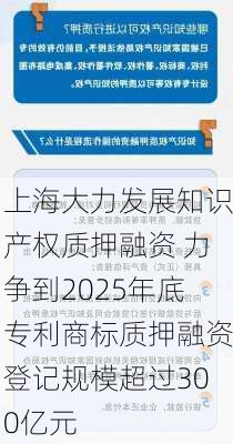 上海大力发展知识产权质押融资 力争到2025年底专利商标质押融资登记规模超过300亿元