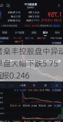 誉燊丰控股盘中异动 早盘大幅下跌5.75%报0.246
元