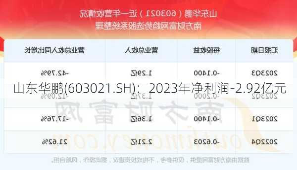 山东华鹏(603021.SH)：2023年净利润-2.92亿元