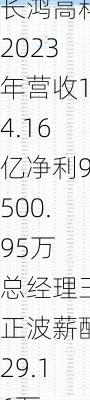 长鸿高科2023年营收14.16亿净利9500.95万 总经理王正波薪酬29.16万