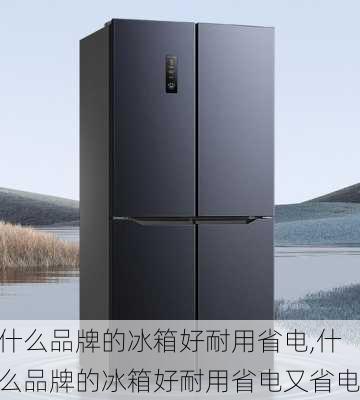 什么品牌的冰箱好耐用省电,什么品牌的冰箱好耐用省电又省电